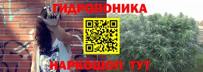 мяу мяу кристалл Тверь