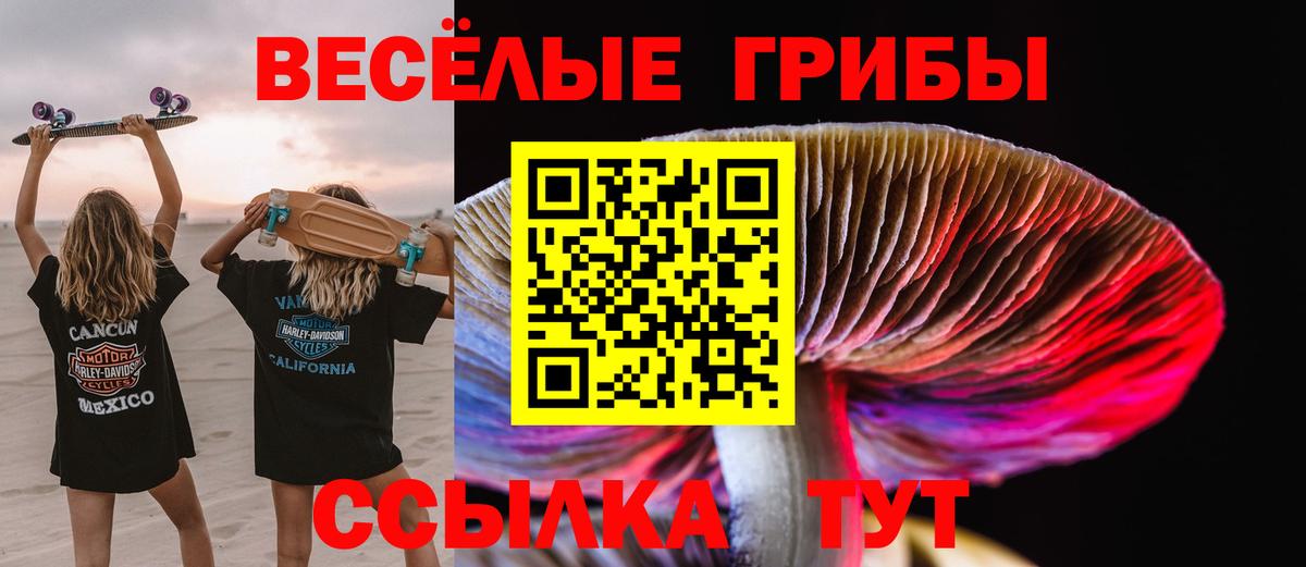 Псилоцибиновые грибы Cubensis Моздок