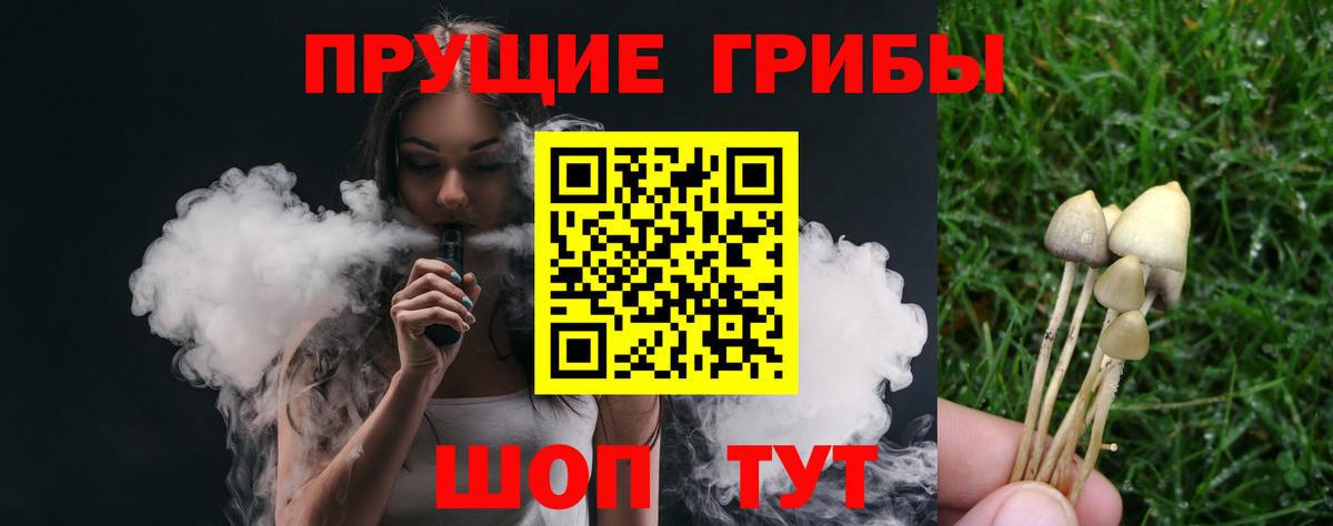 Галлюциногенные грибы Psilocybine cubensis  Вход с VPN  купить наркоту  Моздок 